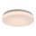 Rabalux - LED Kopalniška stropna svetilka LED/12W/230V 3000/4000/6000K IP44