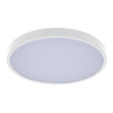 Rabalux - LED Kopalniška stropna svetilka LED/12W/230V 3000/4000/6000K IP44 pr. 25,5 cm bela