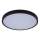 Rabalux - LED Kopalniška stropna svetilka LED/12W/230V 3000/4000/6000K IP44 pr. 25,5 cm črna