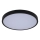 Rabalux - LED Kopalniška stropna svetilka LED/24W/230V 3000/4000/6000K IP44 pr. 35,5 cm črna