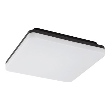 Rabalux - LED Kopalniška stropna svetilka LED/24W/230V IP54