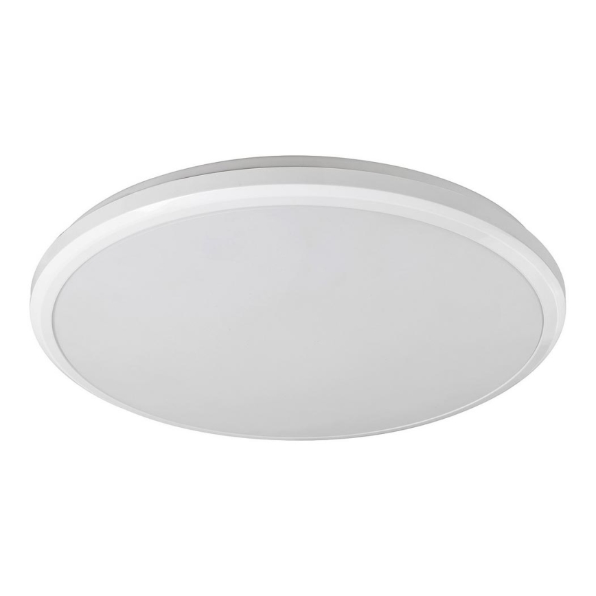 Rabalux - LED Kopalniška stropna svetilka LED/24W/230V IP65