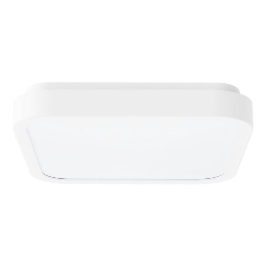 Rabalux - LED Kopalniška stropna svetilka LED/48W/230V IP44 4000K 42x42 cm bela