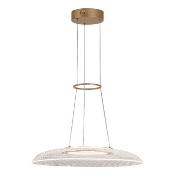 Rabalux - LED lestenec na kablu LED/24W/230V 3000K