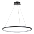 Rabalux - LED lestenec na kablu LED/55W/230V 3000K