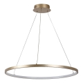 Rabalux - LED lestenec na kablu LED/55W/230V 3000K