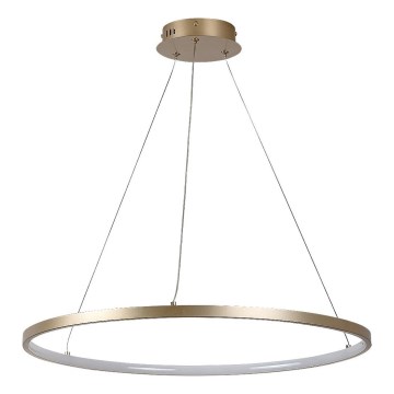 Rabalux - LED lestenec na kablu LED/55W/230V 3000K