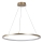 Rabalux - LED lestenec na kablu LED/55W/230V 3000K