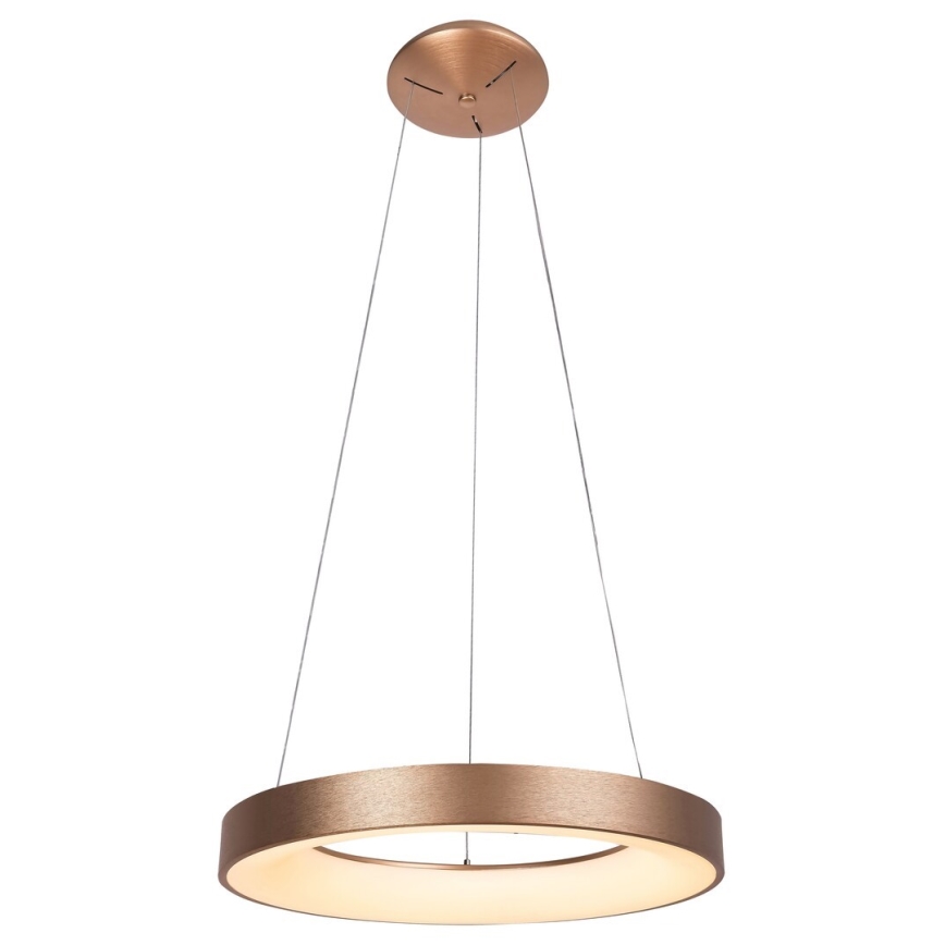 Rabalux - LED Lestenec na vrvici CARMELLA LED/50W/230V