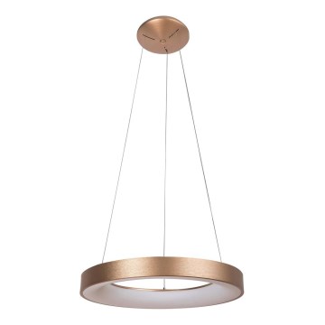 Rabalux - LED Lestenec na vrvici CARMELLA LED/50W/230V pr. 60 cm