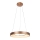 Rabalux - LED Lestenec na vrvici CARMELLA LED/80W/230V