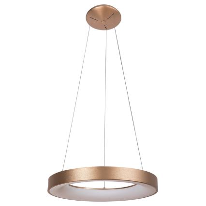 Rabalux - LED Lestenec na vrvici CARMELLA LED/80W/230V