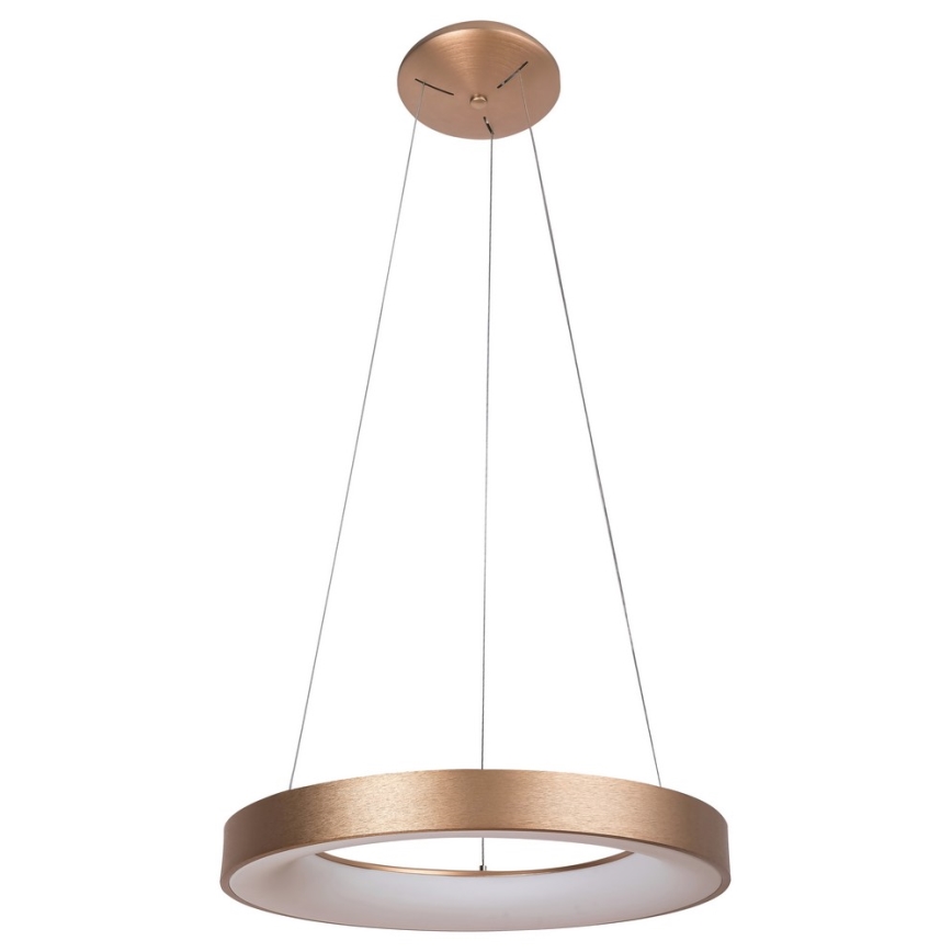 Rabalux - LED Lestenec na vrvici CARMELLA LED/80W/230V