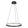 Rabalux - LED Lestenec na vrvici LED/32W/230V 3000K