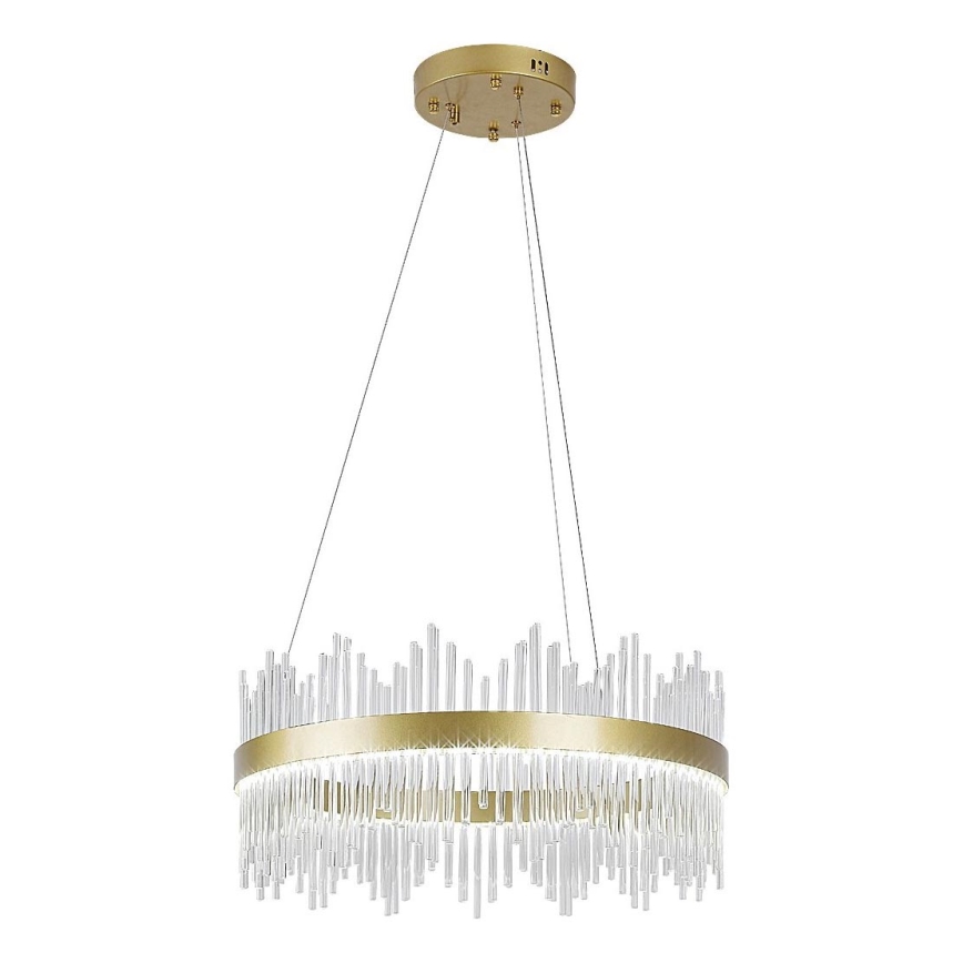 Rabalux - LED Lestenec na vrvici LED/36W/230V 3000/4000/6000K zlata