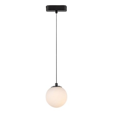 Rabalux - LED Lestenec na vrvici za 1-fazni tračni sistem LED/5W/230V 3000K črna