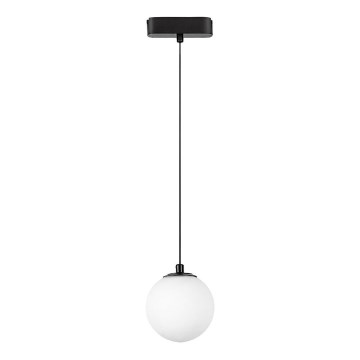 Rabalux - LED Lestenec na vrvici za 1-fazni tračni sistem LED/5W/230V 4000K črna