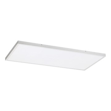 Rabalux - LED Nadgradni panel LED/80W/230V 4000K 120x60 cm