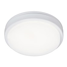 Rabalux - LED Stropna kopalniška svetilka LED/15W IP54