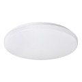 Rabalux - LED Stropna svetilka 1xLED/32W/230V pr. 38 cm