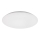 Rabalux - LED stropna svetilka, 24 W, 230 V, 4000 K, premer 38 cm