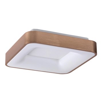 Rabalux - LED Stropna svetilka CARMELA LED/30W/230V 40x40 cm