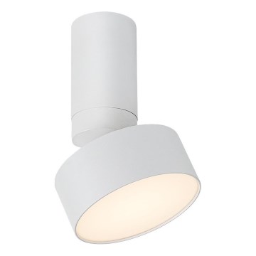 Rabalux - LED Stropna svetilka LED/10W/230V 3000K bela
