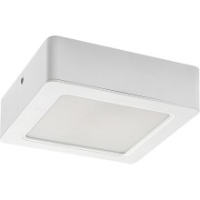 Rabalux - LED Stropna svetilka LED/12W/230V 14,5 cm