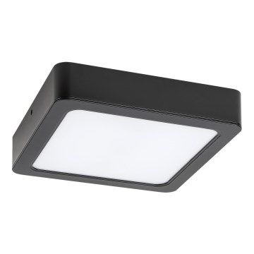 Rabalux - LED Stropna svetilka LED/12W/230V 14,5x14,5 cm