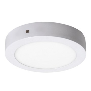 Rabalux - LED Stropna svetilka LED/12W/230V