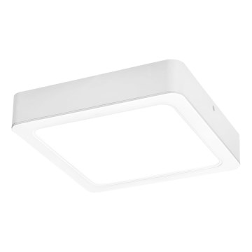 Rabalux - LED Stropna svetilka LED/15W/230V 4000K 16x16 cm bela