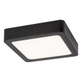 Rabalux - LED Stropna svetilka LED/15W/230V 4000K 16x16 cm črna