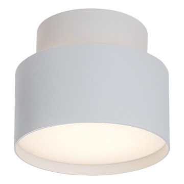 Rabalux - LED Stropna svetilka LED/16W/230V 3000K bela