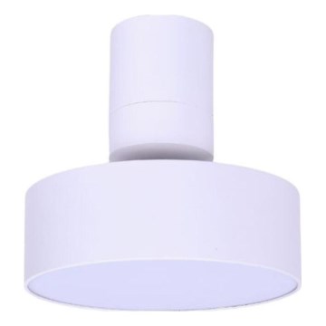 Rabalux - LED Stropna svetilka LED/16W/230V 3000K bela