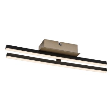 Rabalux - LED Stropna svetilka LED/16W/230V 4000K