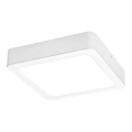 Rabalux - LED Stropna svetilka LED/18W/230V 17x17 cm
