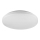 Rabalux - LED Stropna svetilka LED/20W/230V pr. 29 cm