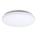 Rabalux - LED stropna svetilka LED/20W/230V premer 29 cm