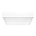 Rabalux - LED Stropna svetilka LED/22W/230V 3000/4000/6000K 21x21 cm bela