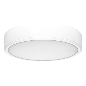 Rabalux - LED Stropna svetilka LED/22W/230V 3000/4000/6000K pr. 21 cm bela