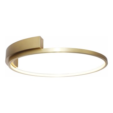 Rabalux - LED Stropna svetilka LED/23W/230V