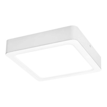 Rabalux - LED Stropna svetilka LED/24W/230V 22x22 cm