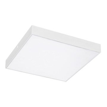 Rabalux - LED stropna svetilka LED/24W/230V 2800-6000K IP44 bela 30x30 cm
