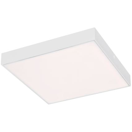 Rabalux - LED Stropna svetilka LED/24W/230V 3000-6000K IP44 bela