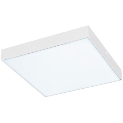 Rabalux - LED Stropna svetilka LED/24W/230V 3000-6000K IP44 bela