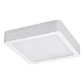 Rabalux - LED Stropna svetilka LED/24W/230V 3000K 22x22 cm bela