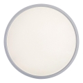 Rabalux - LED Stropna svetilka LED/24W/230V 4000K pr. 30 cm bela