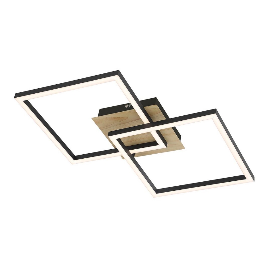 Rabalux - LED Stropna svetilka LED/24W/230V