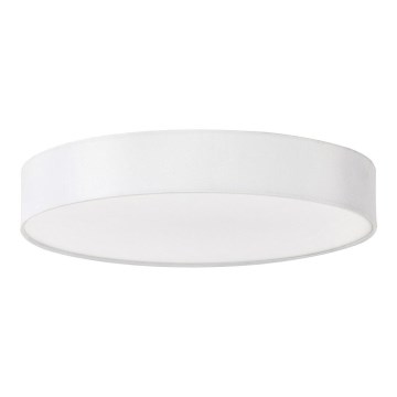 Rabalux - LED Stropna svetilka LED/24W/230V pr. 40 cm