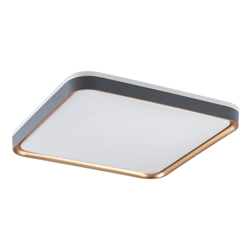 Rabalux - LED stropna svetilka LED/26W/230V 3000K 39,5x39,5 cm